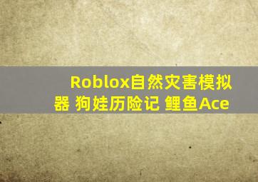 Roblox自然灾害模拟器 狗娃历险记 鲤鱼Ace